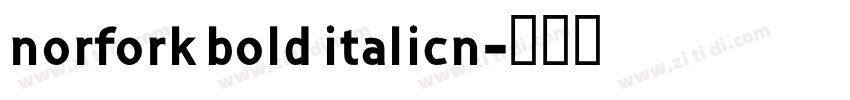 norfork bold italicn字体转换